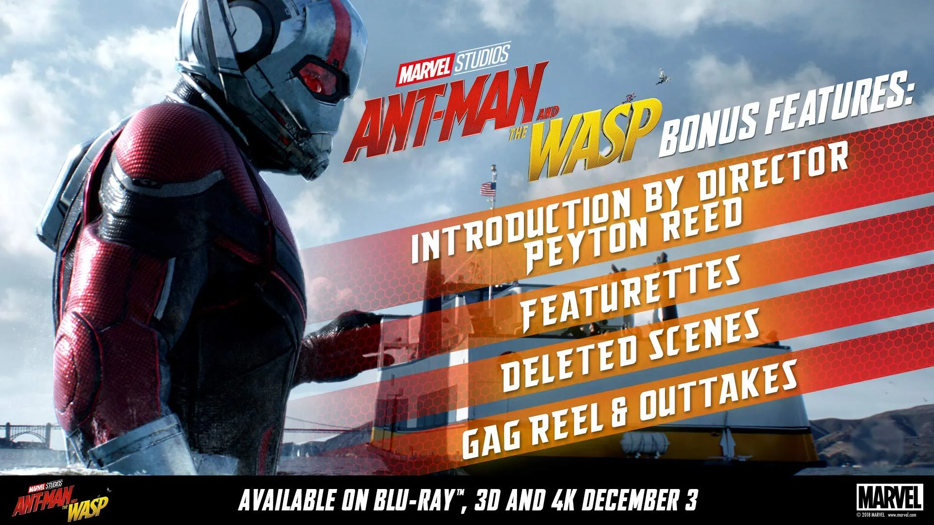 Ant-Man and the Wasp [Blu-ray] [2018]