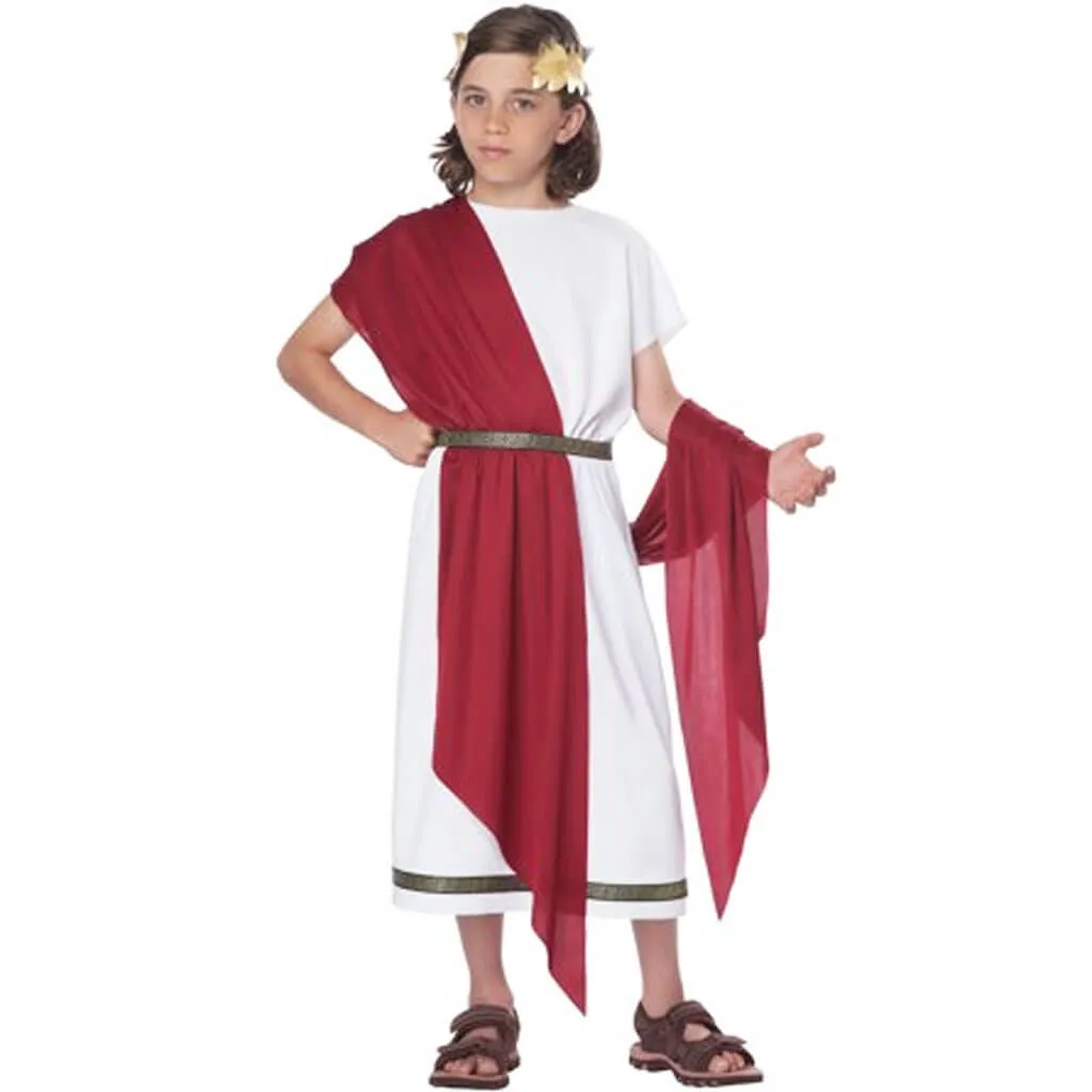 Basic Toga Costume