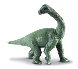 Collecta Brachiosaurus Baby Figure (Green)