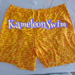 Paint Brush Color Change Mens Trunks