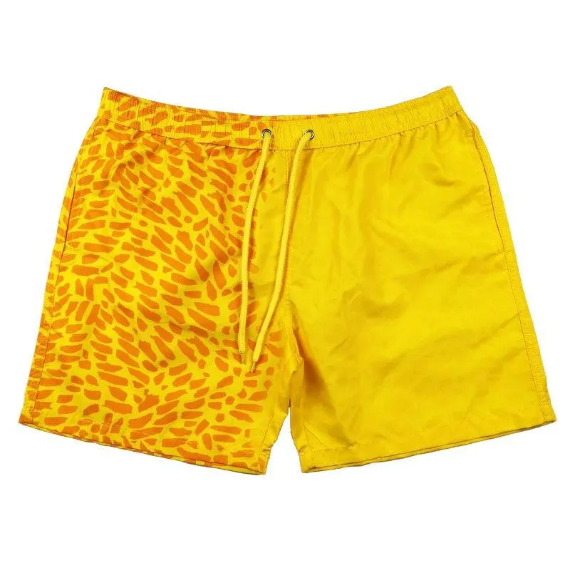 Paint Brush Color Change Mens Trunks