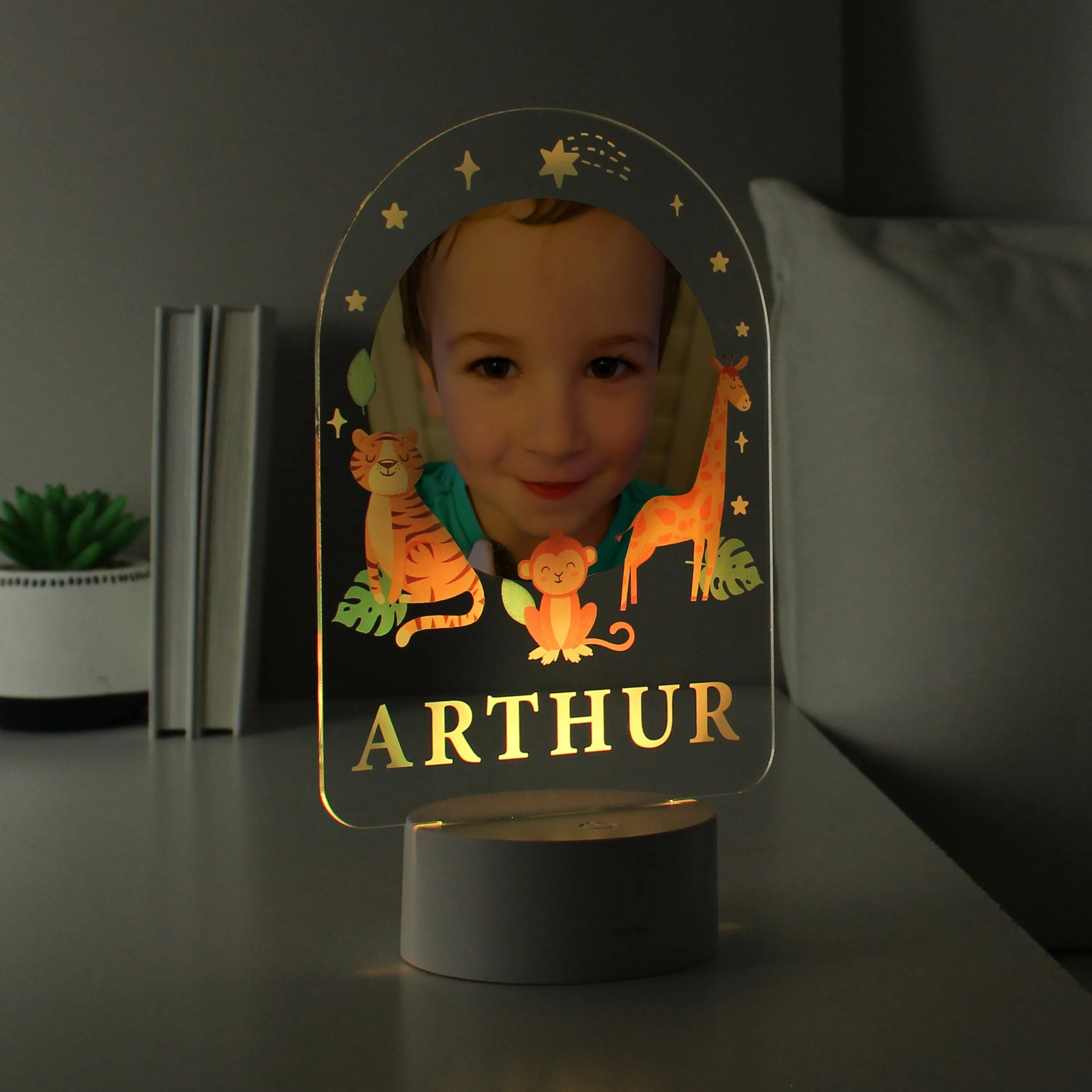 Personalised Animal Photo Upload LED Colour Changing Night Light