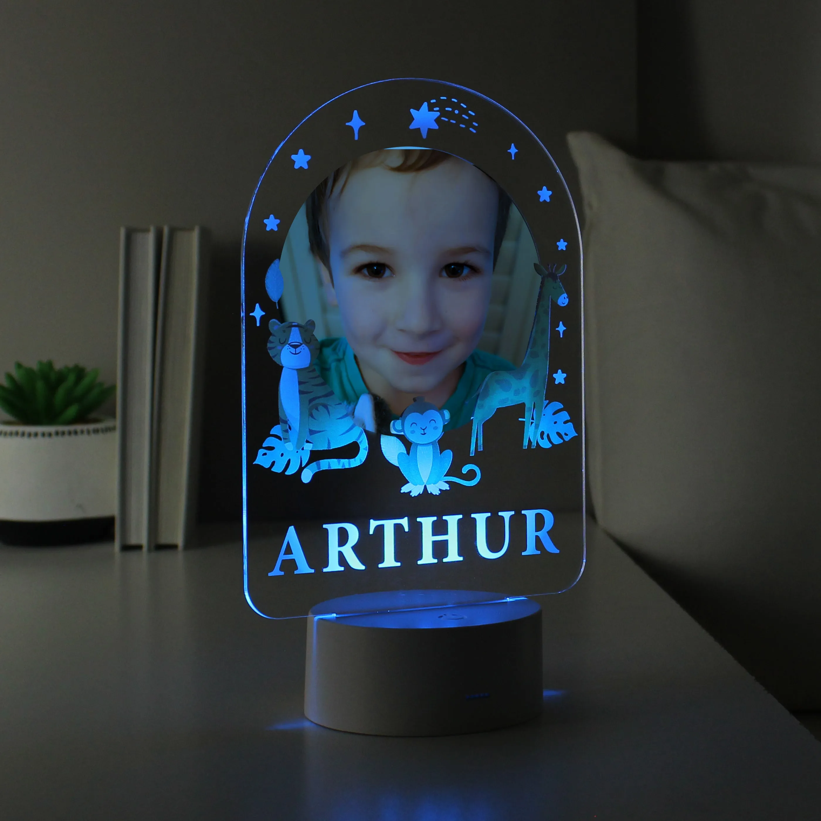 Personalised Animal Photo Upload LED Colour Changing Night Light