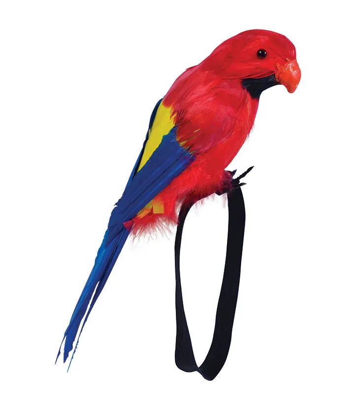 Pirate Stuffed Parrot Wrist