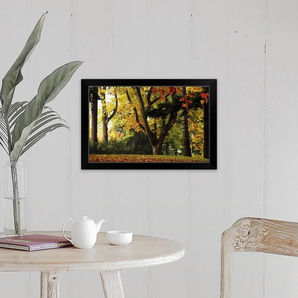 "Autumn Color Trees" Black Framed Print